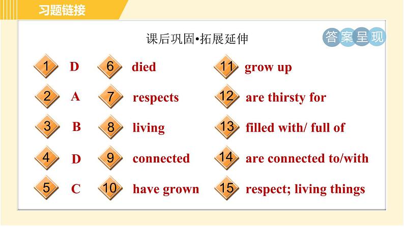 冀教版八年级下册英语 Unit8 Lesson 47 Connected to Nature 习题课件第4页