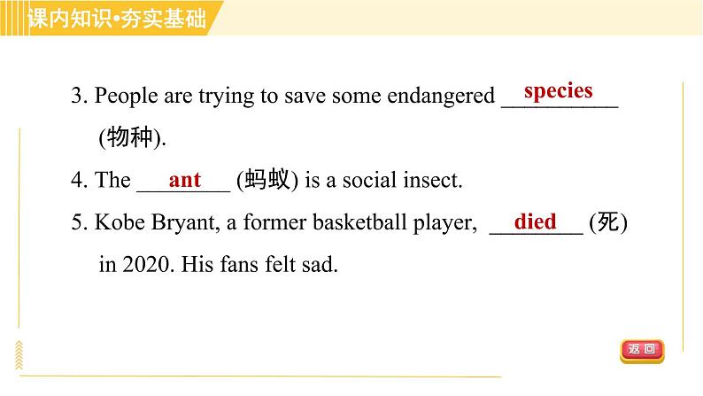 冀教版八年级下册英语 Unit8 Lesson 47 Connected to Nature 习题课件第8页