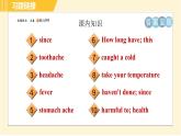 外研版八年級下冊英語 Module4 Unit 1 I haven't done much exercise since I got my computer. 習(xí)題課件