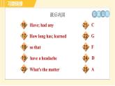外研版八年級下冊英語 Module4 Unit 1 I haven't done much exercise since I got my computer. 習(xí)題課件