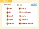 外研版八年级下册英语 Module6 Unit 1 Do you collect anything？ 习题课件