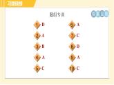 外研版八年级下册英语 Module6 Unit 1 Do you collect anything？ 习题课件