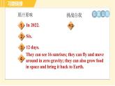 外研版八年级下册英语 Module3 模块整合与拔高 习题课件