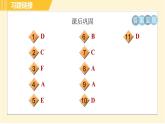 外研版八年级下册英语 Module6 习题课件