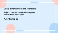 初中英语仁爱科普版九年级下册Topic 1 I would rather watch sports shows than those ones.一等奖课件ppt