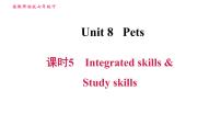 英语七年级下册Study skills习题课件ppt