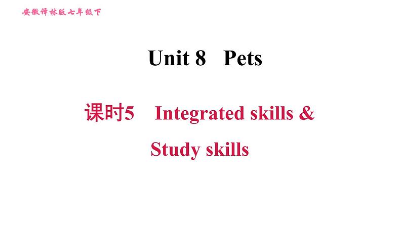 译林牛津版七年级下册英语 Unit8 课时5 Integrated skills & Study skills 习题课件01