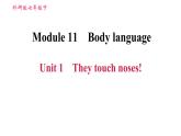 外研版七年级下册英语 Module 11 Unit 1 They touch noses! 习题课件