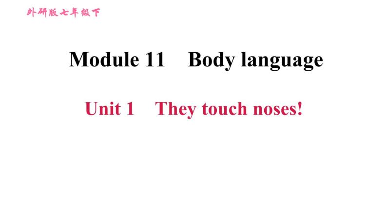 外研版七年级下册英语 Module 11 Unit 1 They touch noses! 习题课件01