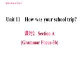 人教版七年级下册英语 Unit11 课时2 Section A (Grammar Focus-3b) 习题课件