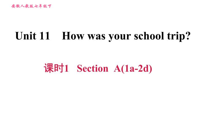 人教版七年级下册英语 Unit11 课时1 Section A (1a-2d) 习题课件01