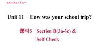初中英语人教新目标 (Go for it) 版七年级下册Unit 11 How was your school trip?Section B习题课件ppt