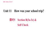 人教版七年级下册英语 Unit11 课时5 Section B (3a－3c)& Self Check 习题课件