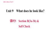 人教版七年级下册英语 Unit9 课时5 Section B (3a－3b)& Self Check 习题课件