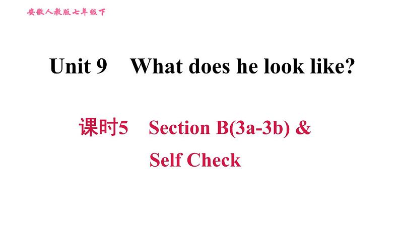 人教版七年级下册英语 Unit9 课时5 Section B (3a－3b)& Self Check 习题课件01