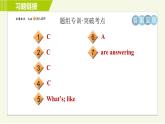人教版七年级下册英语 Unit7 Period 2 Section A ( Grammar Focus-3b ) 习题课件