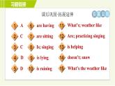 人教版七年级下册英语 Unit7 Period 2 Section A ( Grammar Focus-3b ) 习题课件