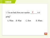 人教版七年级下册英语 Unit7 Period 2 Section A ( Grammar Focus-3b ) 习题课件