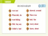 人教版七年级下册英语 Unit11 Period 2 Section A ( Grammar Focus-3c ) 习题课件