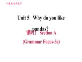 人教版七年级下册英语 Unit5 课时2 Section A (Grammar Focus-3c) 习题课件