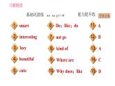 人教版七年级下册英语 Unit5 课时2 Section A (Grammar Focus-3c) 习题课件