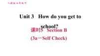 人教新目标 (Go for it) 版七年级下册Unit 3 How do you get to school?Section B习题课件ppt