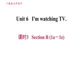 人教版七年级下册英语 Unit6 课时3 Section B (1a－1e) 习题课件