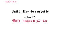 英语七年级下册Section B习题ppt课件