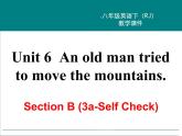 Unit 6 Section B (3a-Self Check)课件PPT