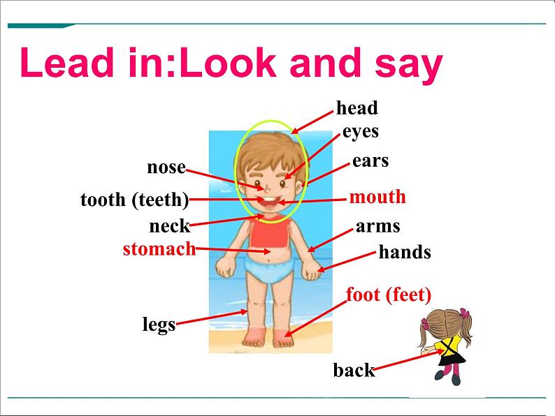 Unit 1 Section A (1a-2d)课件PPT第4页