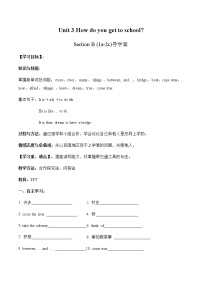 人教新目标 (Go for it) 版Section B导学案及答案