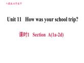 人教版七年级下册英语 Unit11 课时1 Section A (1a-2d) 习题课件
