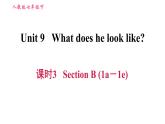 人教版七年级下册英语 Unit9 课时3 Section B (1a－1e) 习题课件