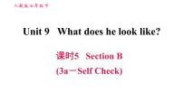 初中人教新目标 (Go for it) 版Unit 9 What does he look like?Section B习题课件ppt