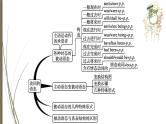 人教新目标中考英语复习--　动词的语态课件PPT