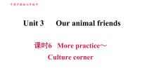 牛津上海版 (五四制)七年级上册（新版）Unit 3 Friends from other countries习题课件ppt