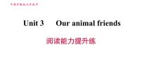 初中牛津上海版 (五四制)Unit 3 Friends from other countries习题课件ppt