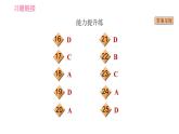 沪教牛津版七年级上册英语 Unit4 课时3 Grammar 习题课件