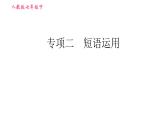 人教版七年級下冊英語 期末專項訓練 專項二　短語運用 習題課件