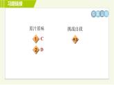 外研版七年级下册英语 Module 4 模块整合与拔高 习题课件