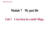 外研版七年级下册英语 Module 7 Unit 1 I was born in a small village 习题课件0