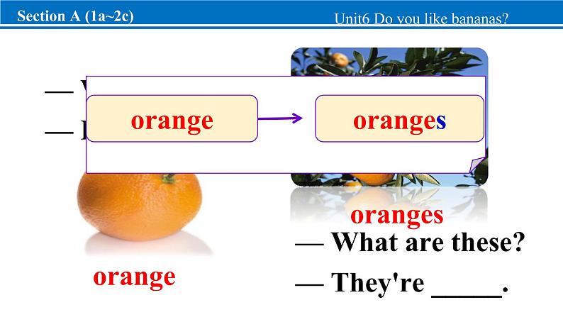 【新版】人教版初中英语七上Unit 6 Do you like bananas_Section A课件+音频（34+29+24+27张PPT）04