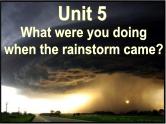 Unit 5  What were you doing when the rainstorm came Section B 2课件PPT