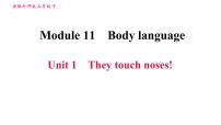 外研版 (新标准)七年级下册Module 11 Body language综合与测试习题课件ppt