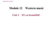 初中英语外研版 (新标准)七年级下册Module 12 Western music综合与测试习题课件ppt
