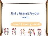 翼教版八年级下册——Lesson 14 Amazing Animals课件PPT