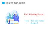 1.4 Unit 5 Topic 1 Section D-八年级英语下册 课件+练习 （仁爱版）