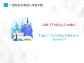 2.4 Unit 5 Topic 2 Section D-八年级英语下册 课件+练习 （仁爱版）