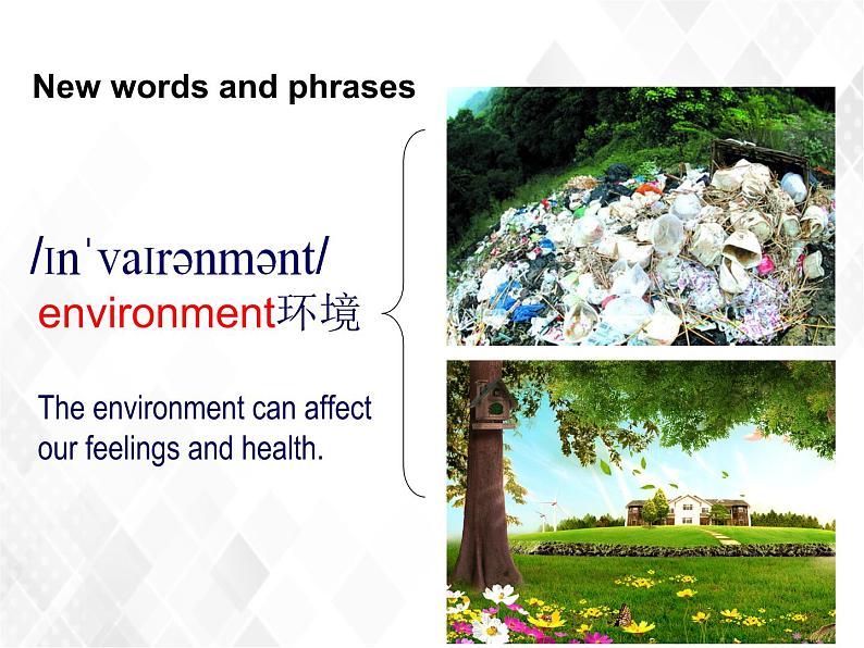 Unit 5 Topic 3 Section C（课件）第4页