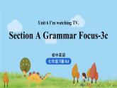 人教版英语七年级下册 Unit6第2课时（SectionA Grammar Focus-3c） PPT课件